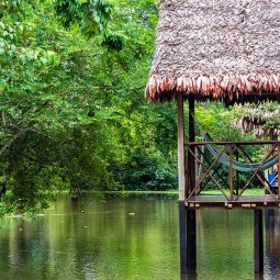 Rituel en Amazonie