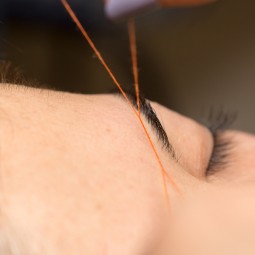 Sourcils + Lèvres + Menton au fil